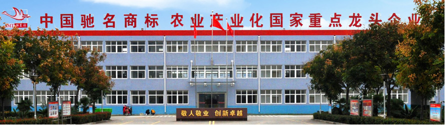 �����˿������