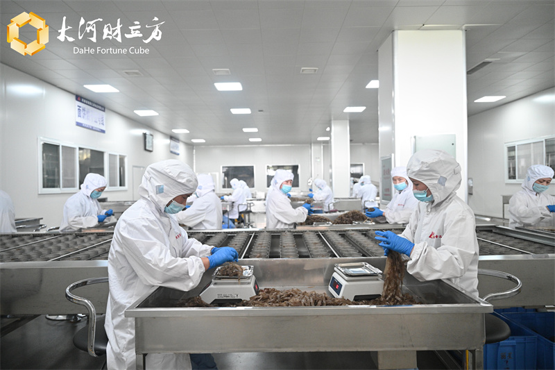 �����˿��������