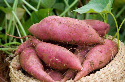 ��������������������أ�������������