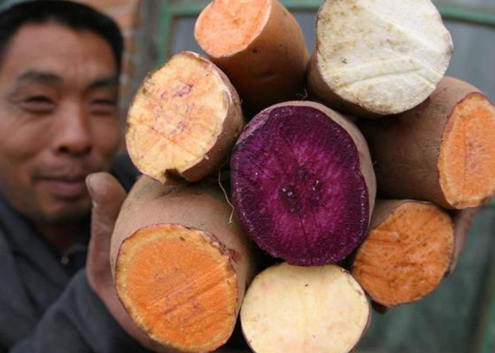 ����������Ԫ��ֵ�����������ʼ�royal1688 - �����ṩһվʽ����ӹ�����ƻ�